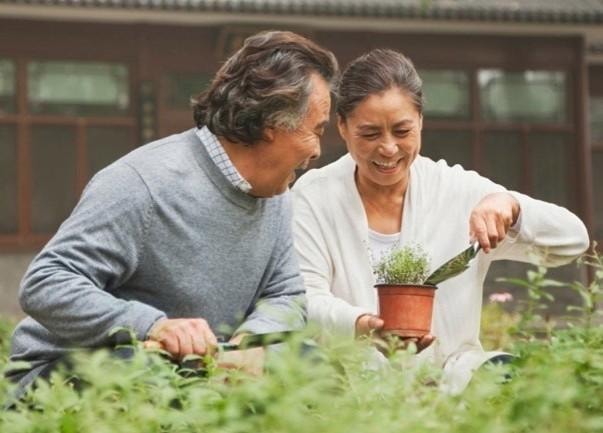 A couple gardening together outdoors — connection and nature at Porchaven™